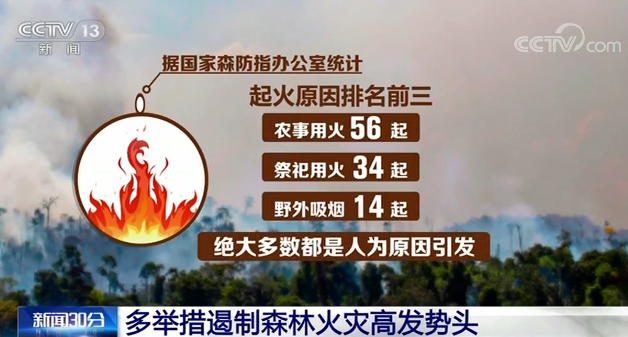 保护森林，还地球家园一点绿，乐虎国际lehu88一直在行动